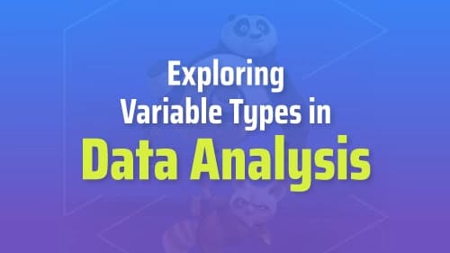 Exploring Variable Types in Data Analysis