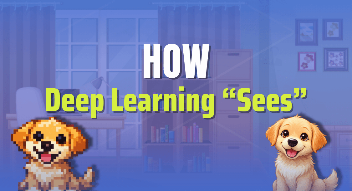 How Deep Learning Sees Images